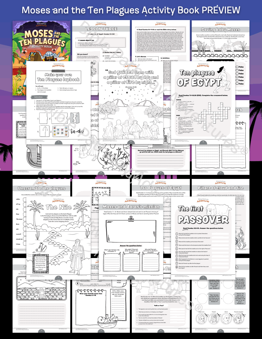 Moses and the Ten Plagues Activity Book (PDF)