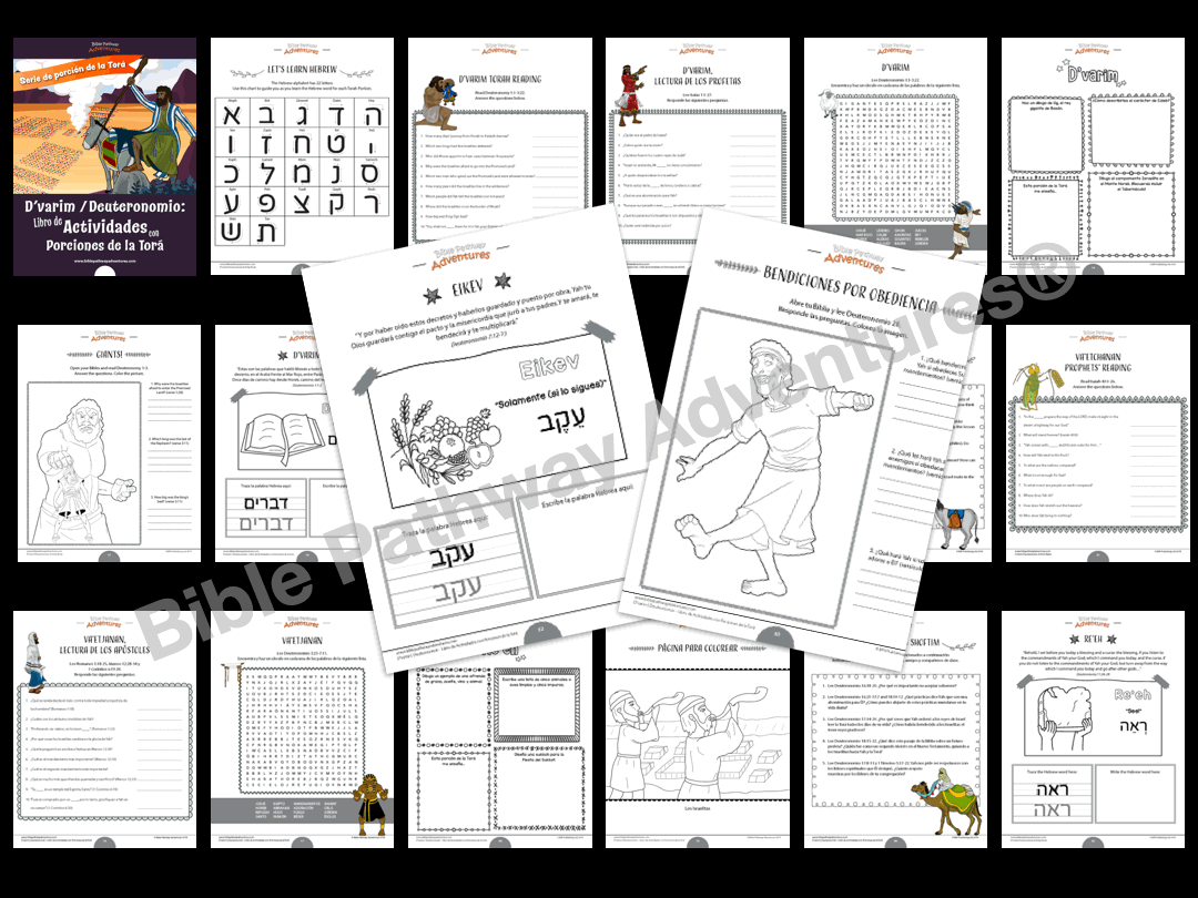 BUNDLE: Libros de actividades de porciones de la Torá (PDF)