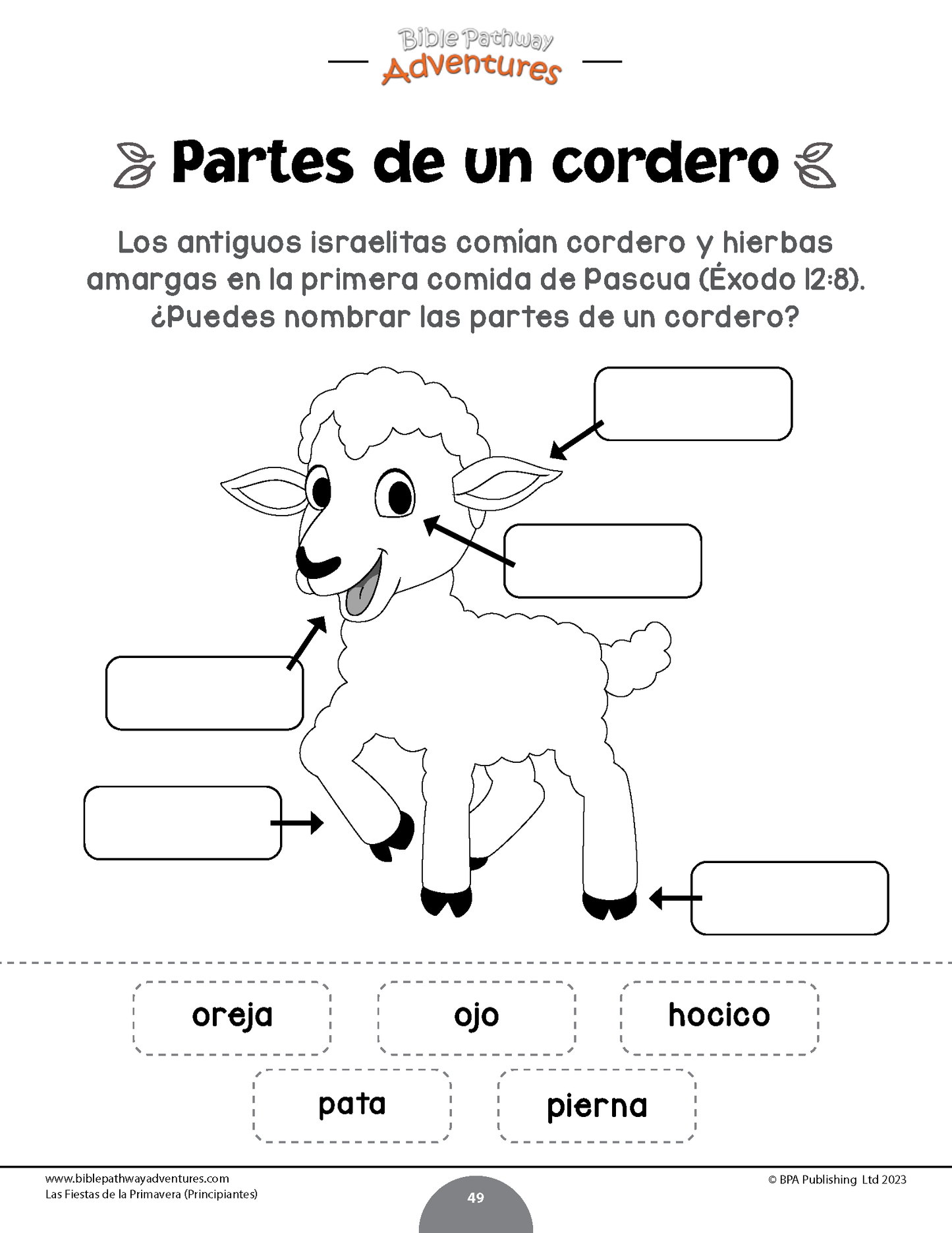 PAQUETE: Las fiestas de la primavera: Libros de actividades (PDF)