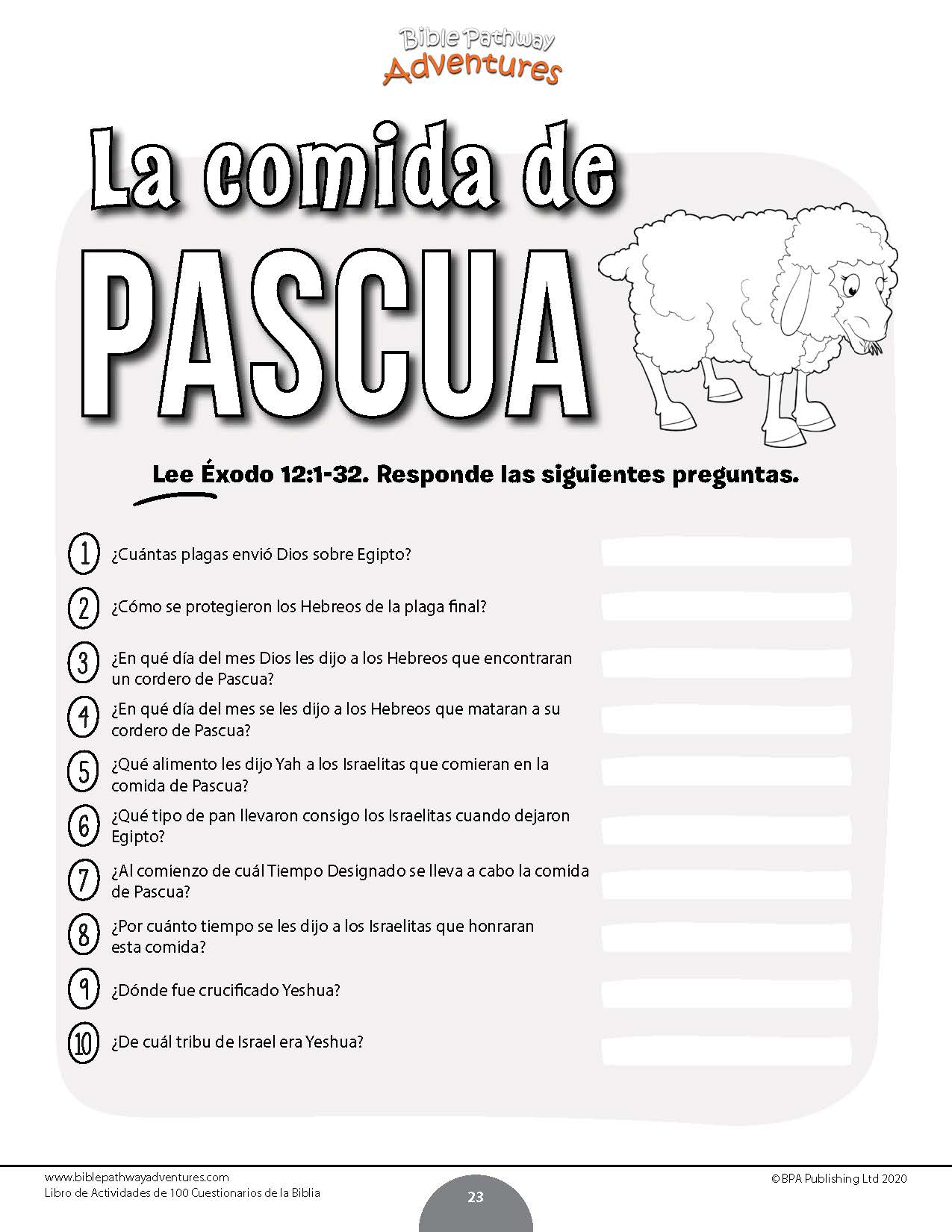 Libro de actividades de 100 cuestionarios de la Biblia