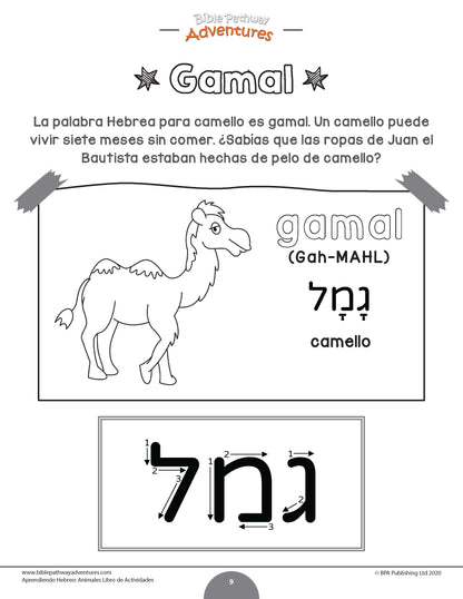 Aprendiendo Hebreo: Animales - Libro de actividades para principiantes