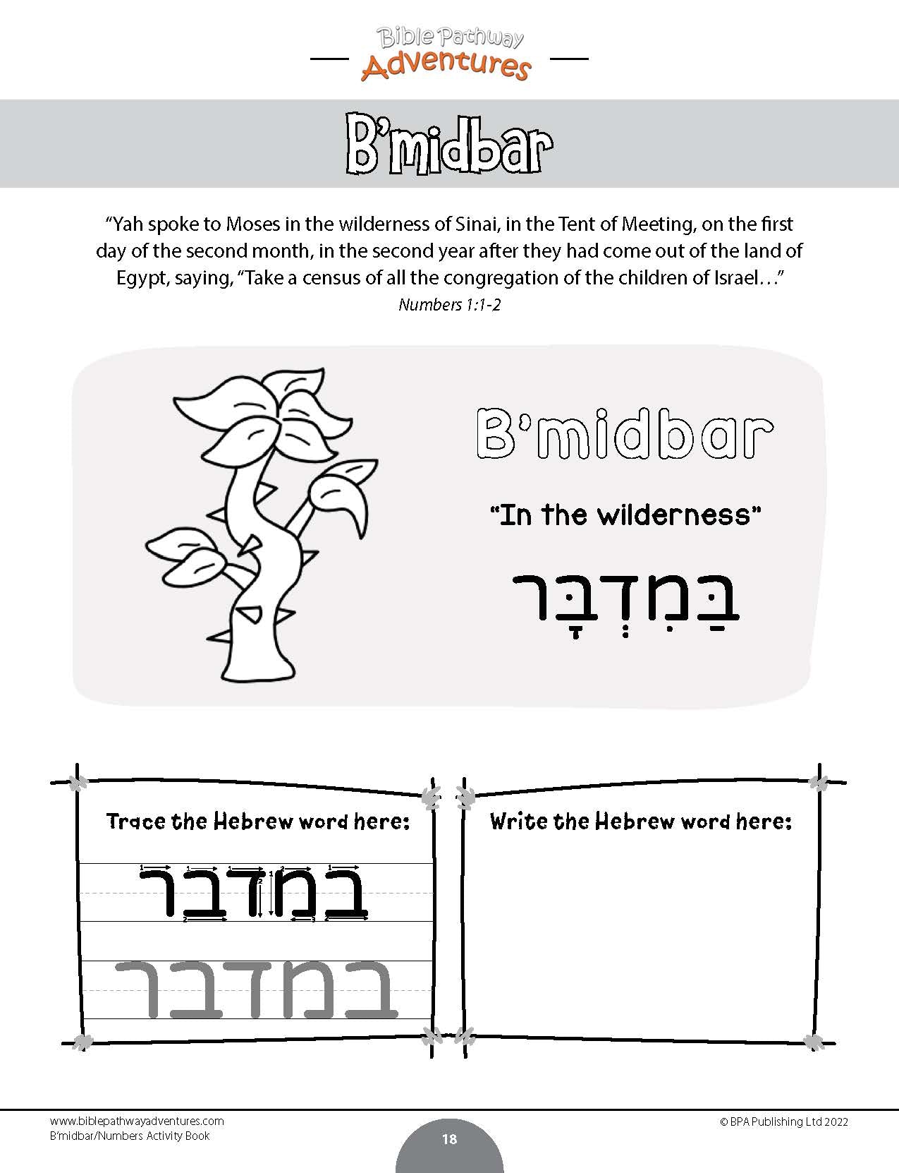 B'midbar / Numbers Torah Portion Activity Book (paperback)