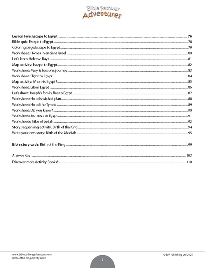 Birth of the King Activity Book (PDF)