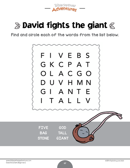 David and Goliath Activity Book for Beginners (paperback)