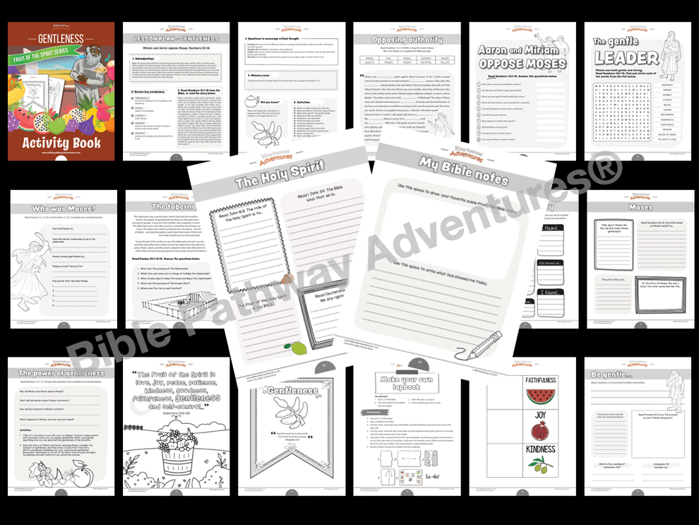 Gentleness Fruit of the Spirit Activity Book Bible Pathway Adventures