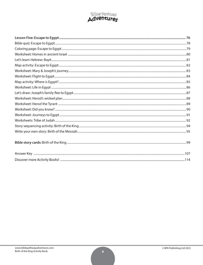 Birth of the King Activity Book
