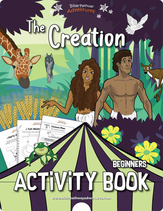 El libro de actividades de creación para principiantes