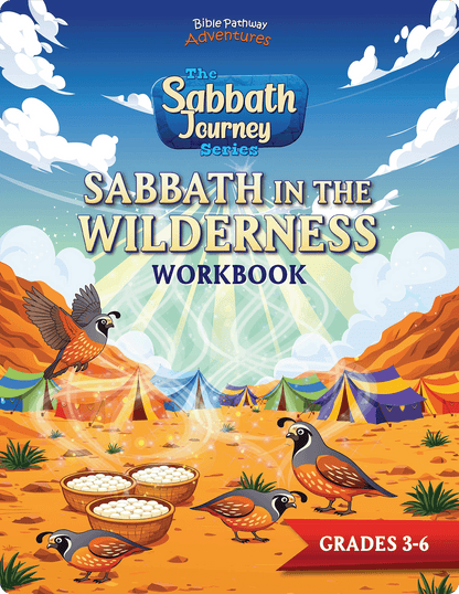 Cover of 'Sabbath in the Wilderness Workbook' from The Sabbath Journey Series with desert scene and birds.