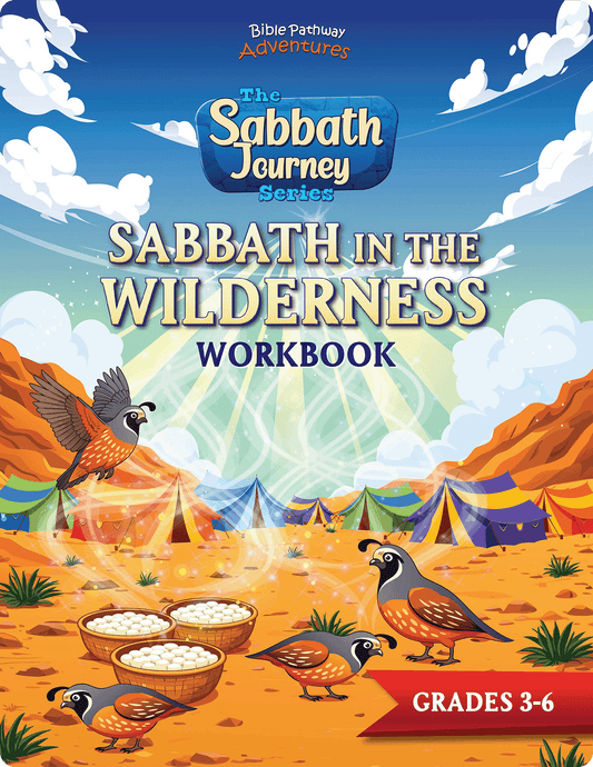 Cover of 'Sabbath in the Wilderness Workbook' from The Sabbath Journey Series with desert scene and birds.