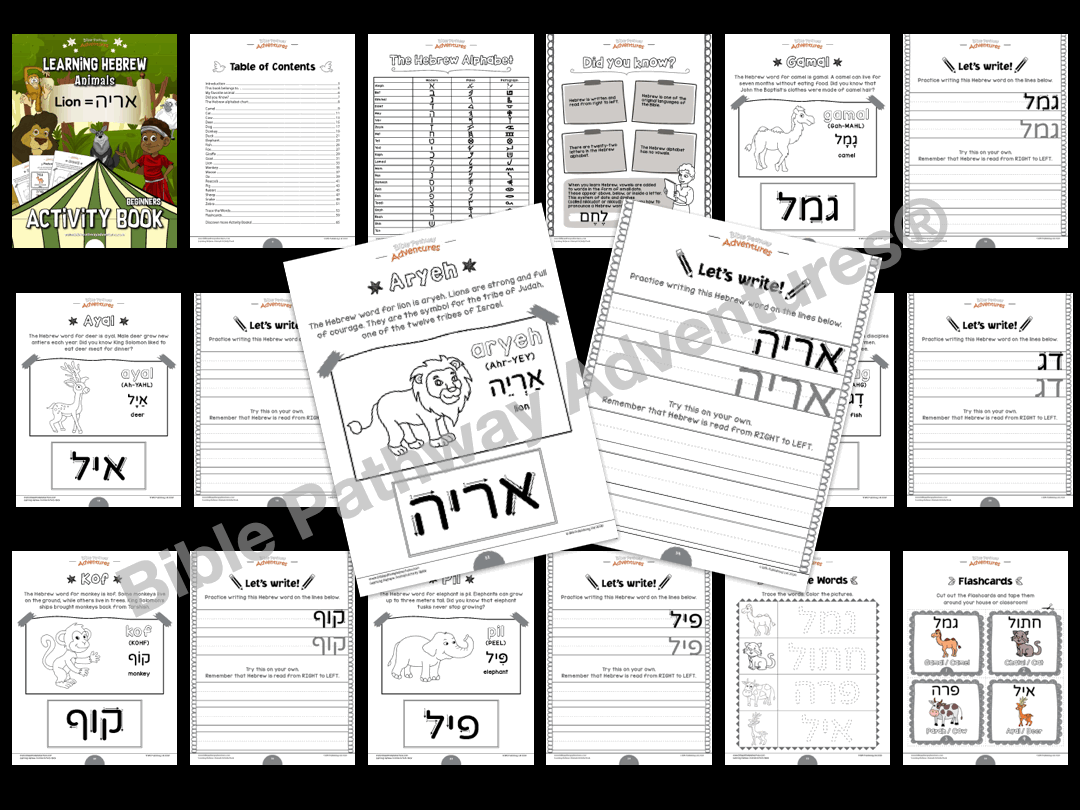 Learning Hebrew: Animals Activity Book for Beginners (PDF)