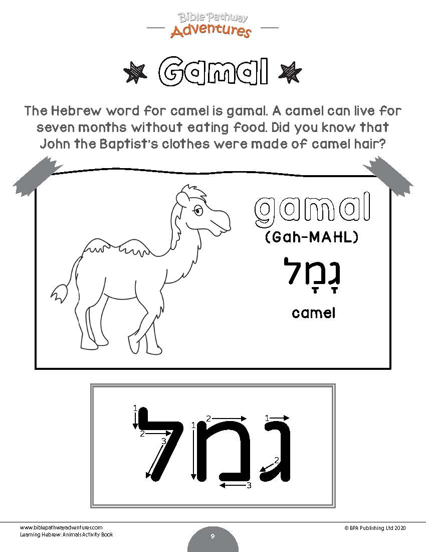 Learning Hebrew: Animals Activity Book for Beginners