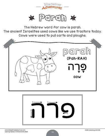 Learning Hebrew: Animals Activity Book (paperback)