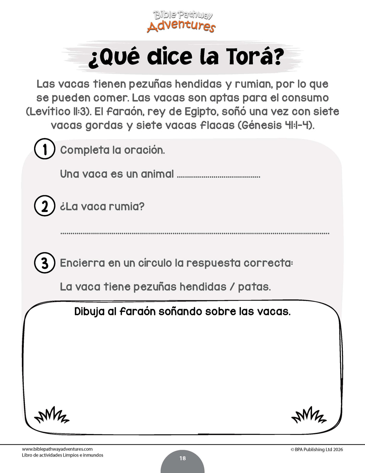 Libro de actividades -  Limpios e inmundos