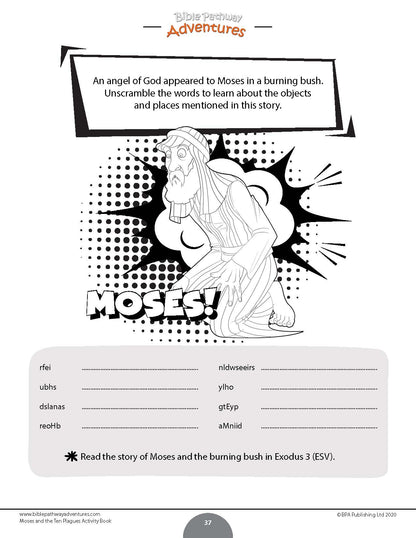 Moses and the Ten Plagues Activity Book