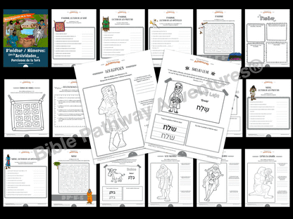 BUNDLE: Libros de actividades de porciones de la Torá (PDF)