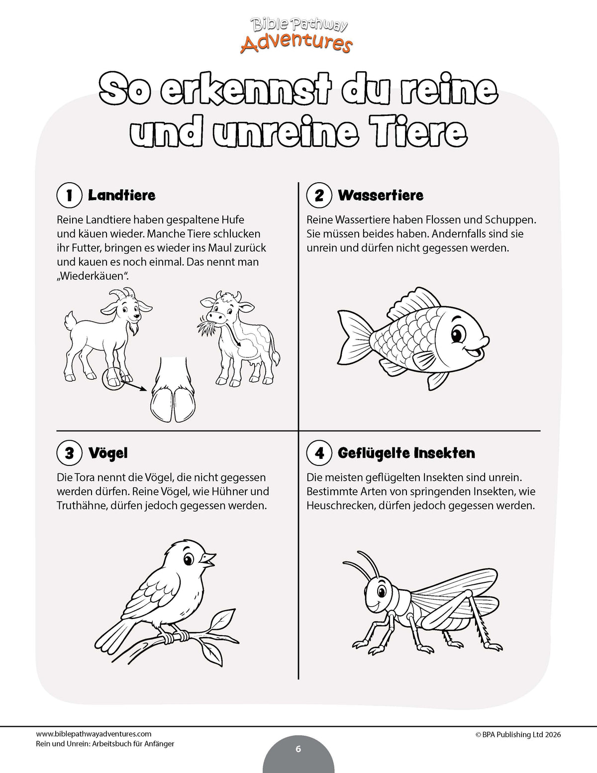 Rein und Unrein