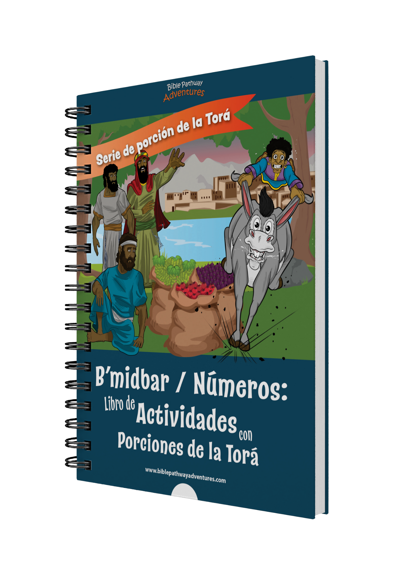 Estudio de la Torá | B’midbar / Números: Porciones semanales de la Torá