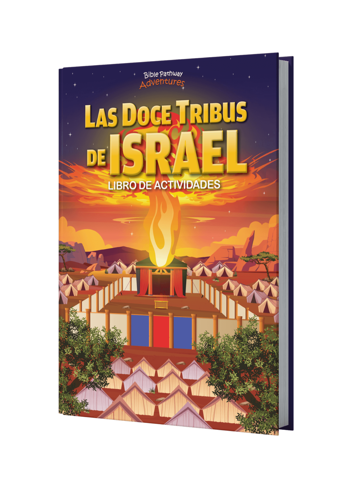 Libro de actividades de las 12 tribus de Israel