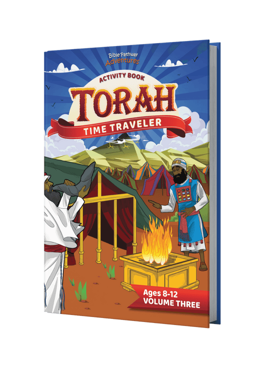 Torah Time Traveler Activity Book: Volume Three (paperback)