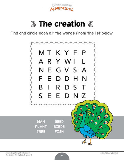 The Creation Activity Book for Beginners (paperback)