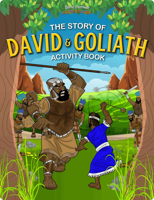 David & Goliath Activity Book