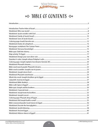 Twelve Tribes of Israel Activity Book (paperback)