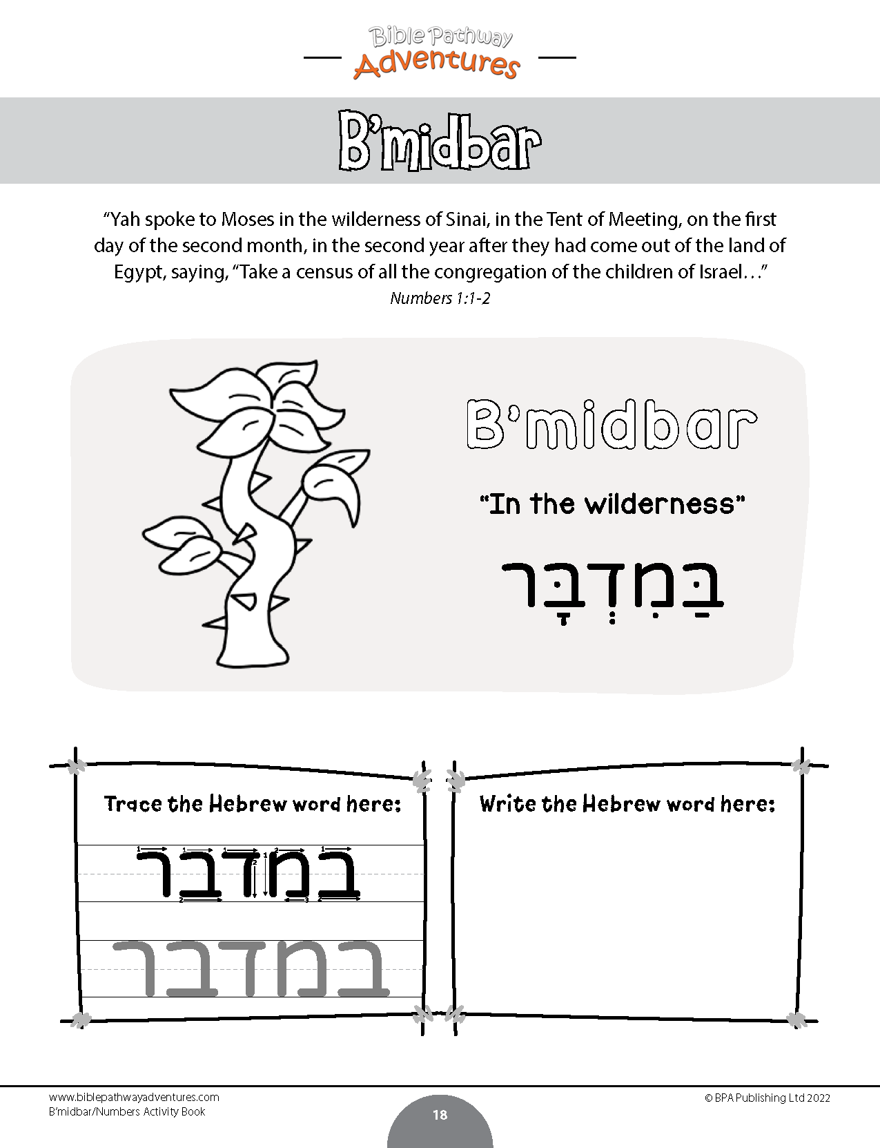 B’midbar / Numbers Torah Portion Activity Book