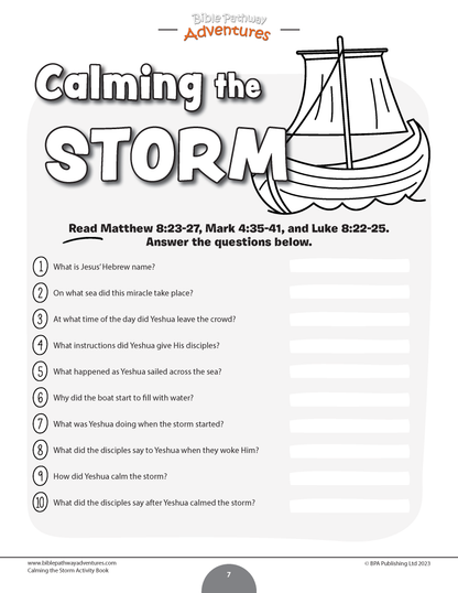 Calming the Storm Activity Book
